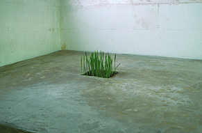 Suprematistisches Weizenfeld